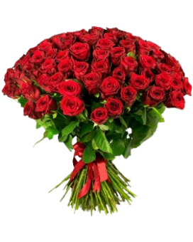 red_rose